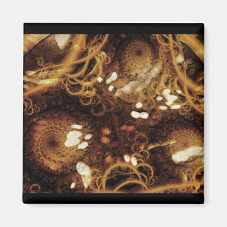 Imã Jackolantern Weather