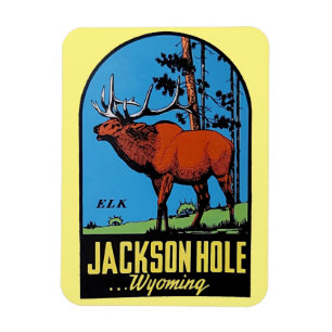 Ímã Jackson Hole, Wyoming Magnet