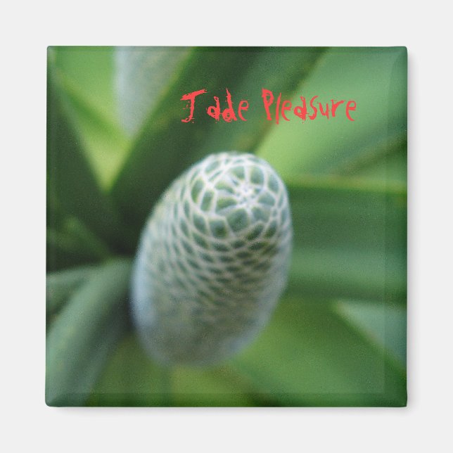 Imã Jade Pleasure (Frente)