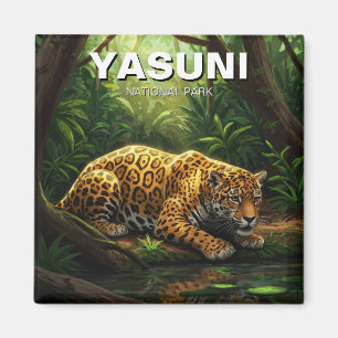 Imã Jaguar no Parque Nacional Yasuni, Equador