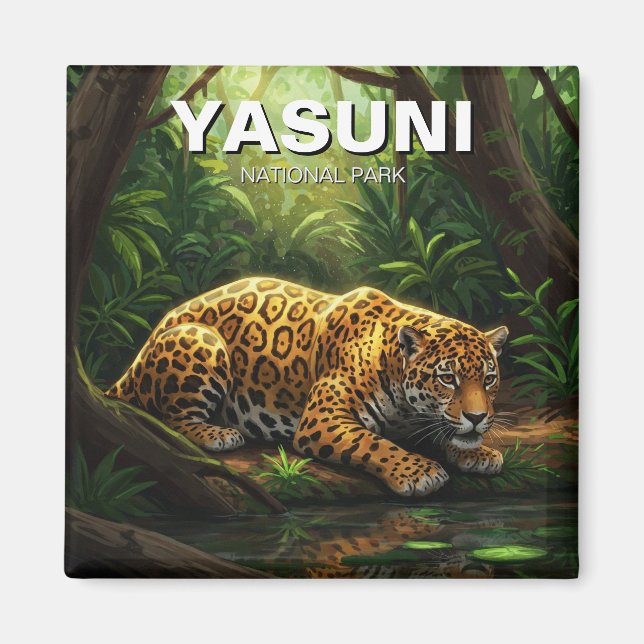 Imã Jaguar no Parque Nacional Yasuni, Equador (Frente)