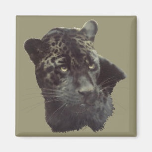 Imã Jaguar preto