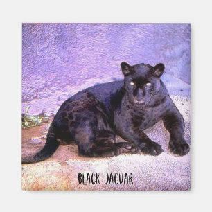 Imã Jaguar preto, ímã