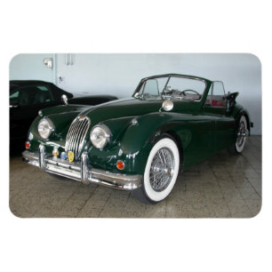 Ímã Jaguar Verde Raça XK 120