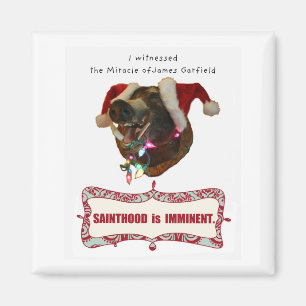 Imã James Garfield para o Sainthood