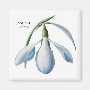 Imã Jan Snowdrop Bloom - Presente Personalizado