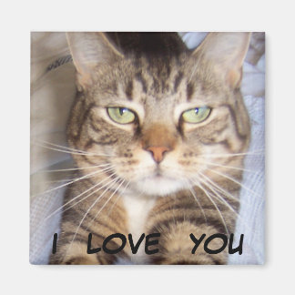 Imã Jane disse que eu te amo