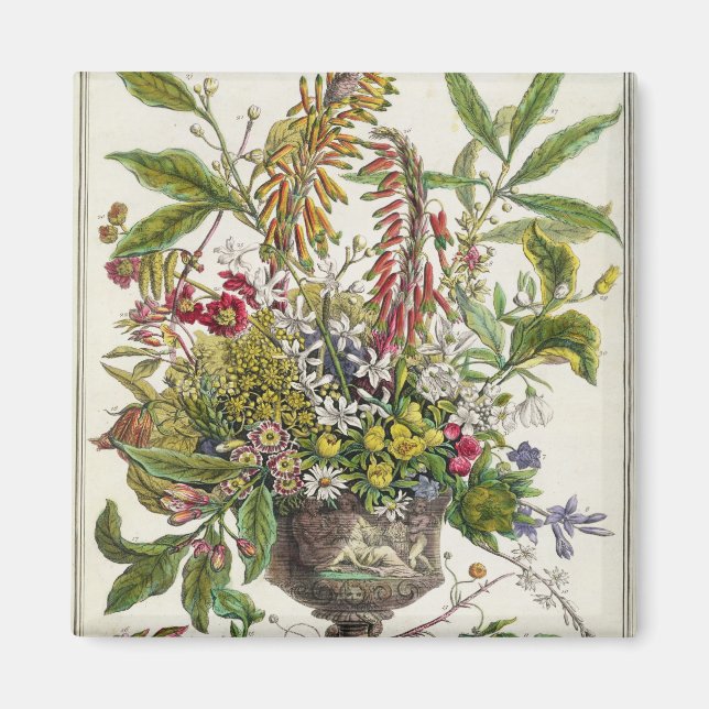 Imã janeiro, de ‘Doze Meses de Flores’ (Frente)