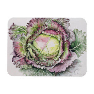 Ímã Janeiro King Cabbage