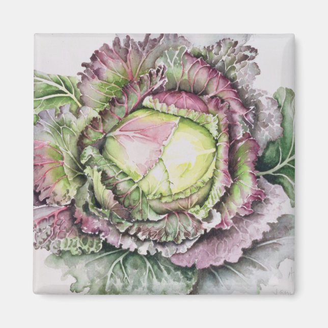 Imã Janeiro King Cabbage (Frente)