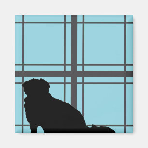 Imã Janela de Nicky