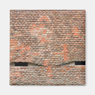 Imã Janelas adormecidas no telhado