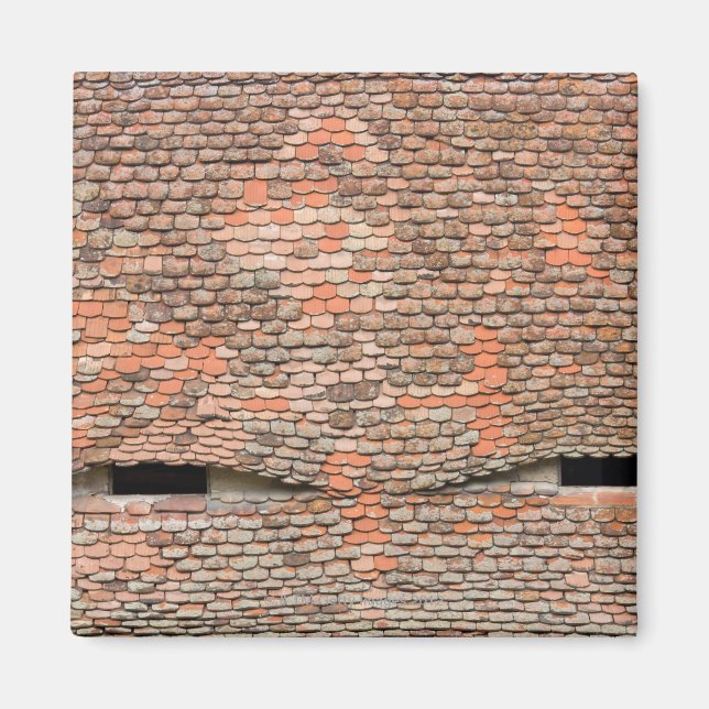 Imã Janelas adormecidas no telhado (Frente)