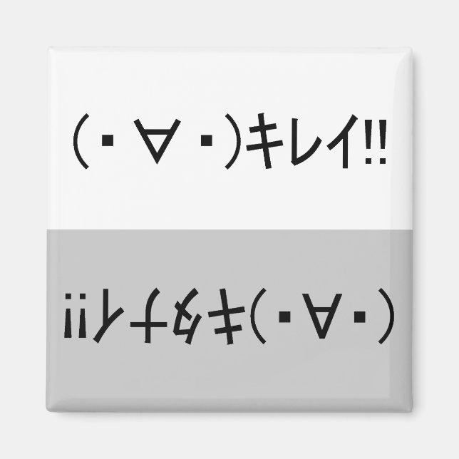 Imã Japanese ASCII Art「キレイ!」&「キタナイ!」dishwasher magnet (Frente)