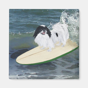 Imã Japanese Chin Surfando