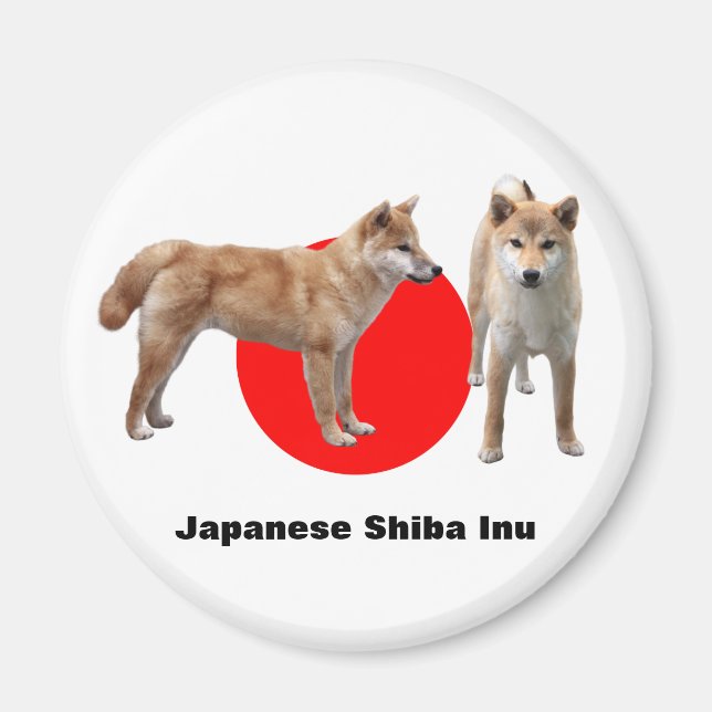 Imã Japanese Shiba Inu (Frente)