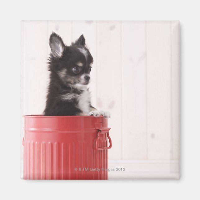 Imã Japão 4 (Frente)