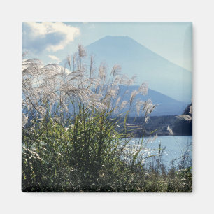 Imã Japão, Honshu, Pref. Yamanashi, Fuji-Hakone-Izu