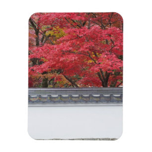 Ímã Japão, Kyoto, cor do outono no Templo de Eikando