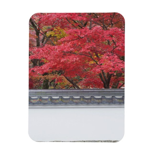 Ímã Japão, Kyoto, cor do outono no Templo de Eikando (Vertical)