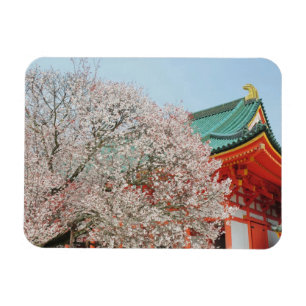 Ímã Japão, Quioto. Flor de cerejeira do Xintoísmo