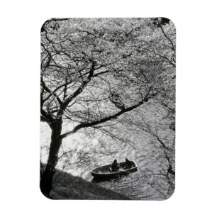 Ímã Japão, Tóquio. Cereja floresce no Império