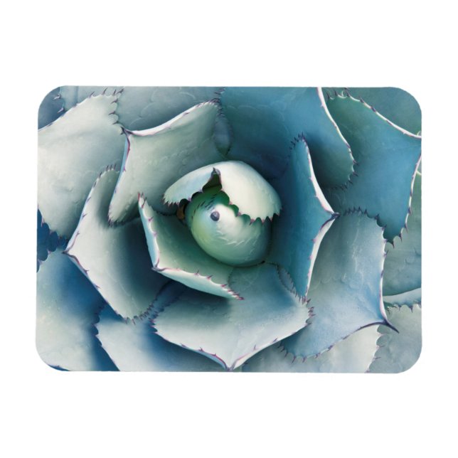 Ímã Jardim Botânico de Huntington (Horizontal)