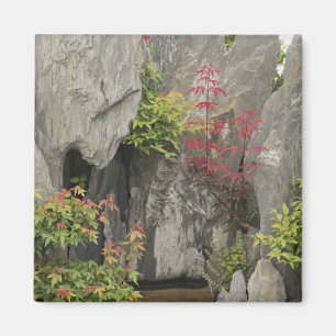 Imã Jardim da família Bao, Huangshan, China.