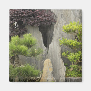 Imã Jardim da família Bao, Huangshan, China. 2