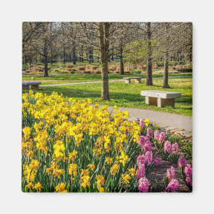 Imã Jardim da Flor primavera