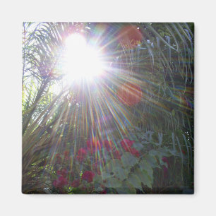 Imã Jardim da luz solar