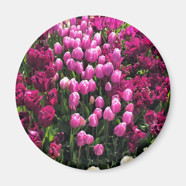 Imã Jardim das Tulipas Roxas (Frente)