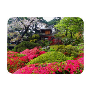 Ímã Jardim de Chá Japonês de São Francisco #12 Magn