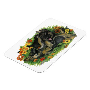 Ímã Jardim de Cuppy