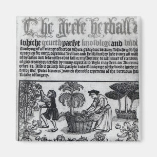 Imã Jardim de erva medieval