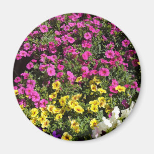 Imã Jardim de flores