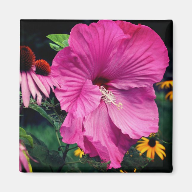 Imã Jardim de Flores Hibisco e Amigos  (Frente)