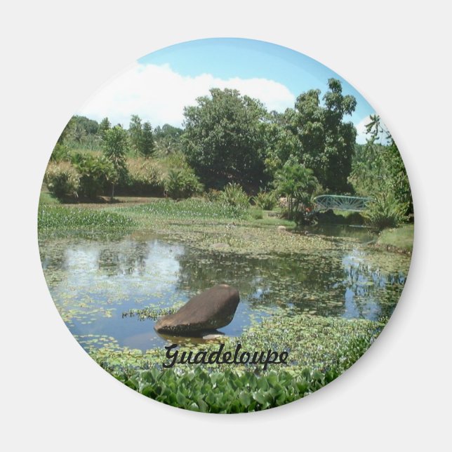 Imã Jardim de Guadalupe (Frente)