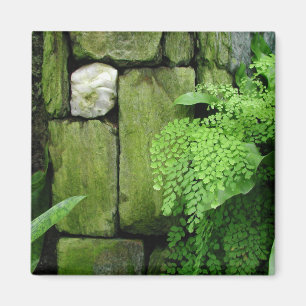 Imã Jardim de pedra - ímã #1