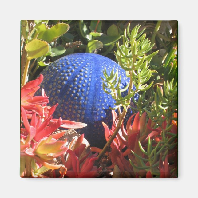 Imã Jardim de Plantas Submarinas com Magneta Orb (Frente)