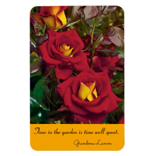 Ímã Jardim de Rosa do Magnet