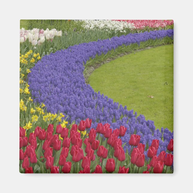 Imã Jardim de tulipas, jacintos e narcisos, (Frente)