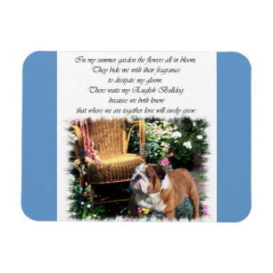 Ímã Jardim de Verão de Buldogue Inglês