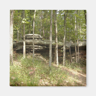 Imã Jardim dos Deuses - Illinois