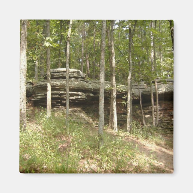 Imã Jardim dos Deuses - Illinois (Frente)