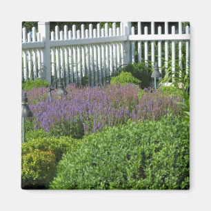 Imã Jardim em Long Island