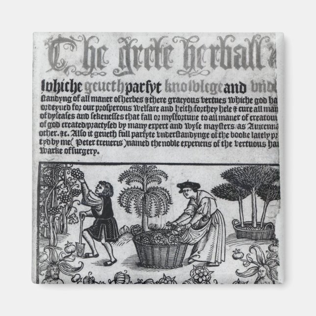 Imã Jardim Herb Medieval (Frente)