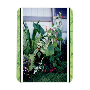 Ímã Jardim Ímã-Tropical
