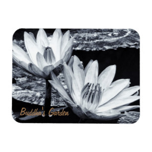 Ímã Jardim Secreto/Meditação de Lotus Flowers & Budd