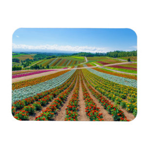 Ímã Jardim Shikisai nenhuma fazenda da flor de Oka